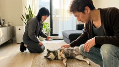 犬が仰向けで寝るのはなぜ？「ヘソ天」に映る気持ちをやさしく読み解く